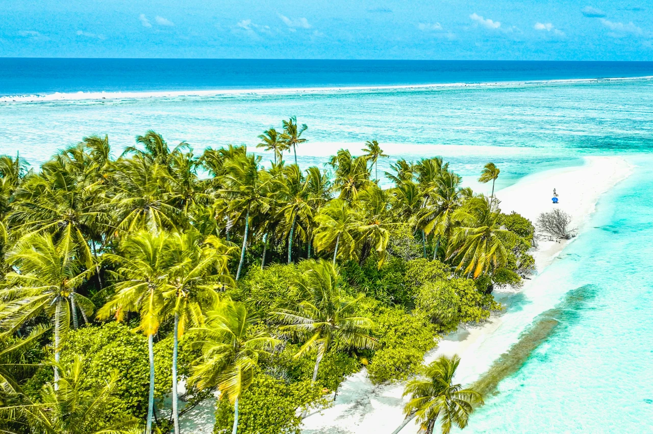 Eine wild bewachsene Insel auf den Malediven, inmitten des hellblauen Ozeans